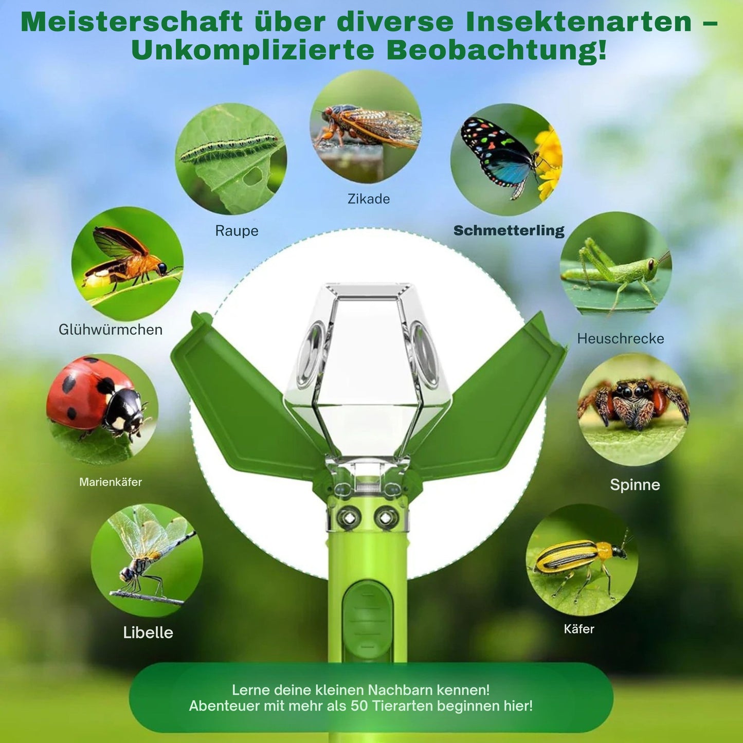 KäferFänger Insekten-Entdecker
