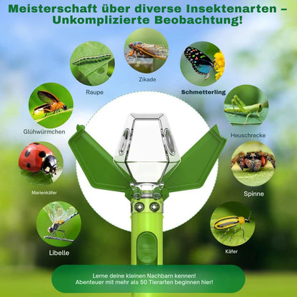 KäferFänger Insekten-Entdecker