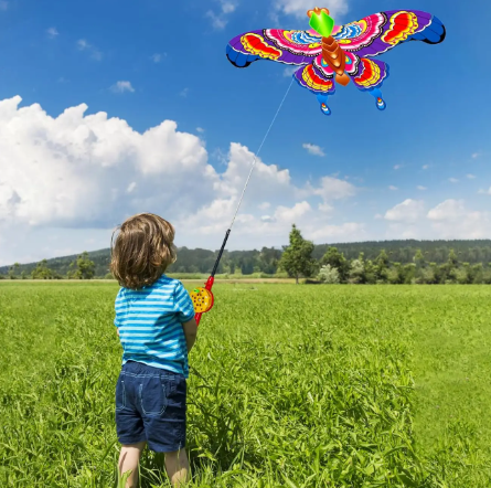Bird Friends - Cartoon Kite Set for Kids