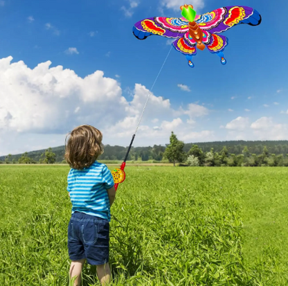 Bird Friends - Cartoon Kite Set for Kids