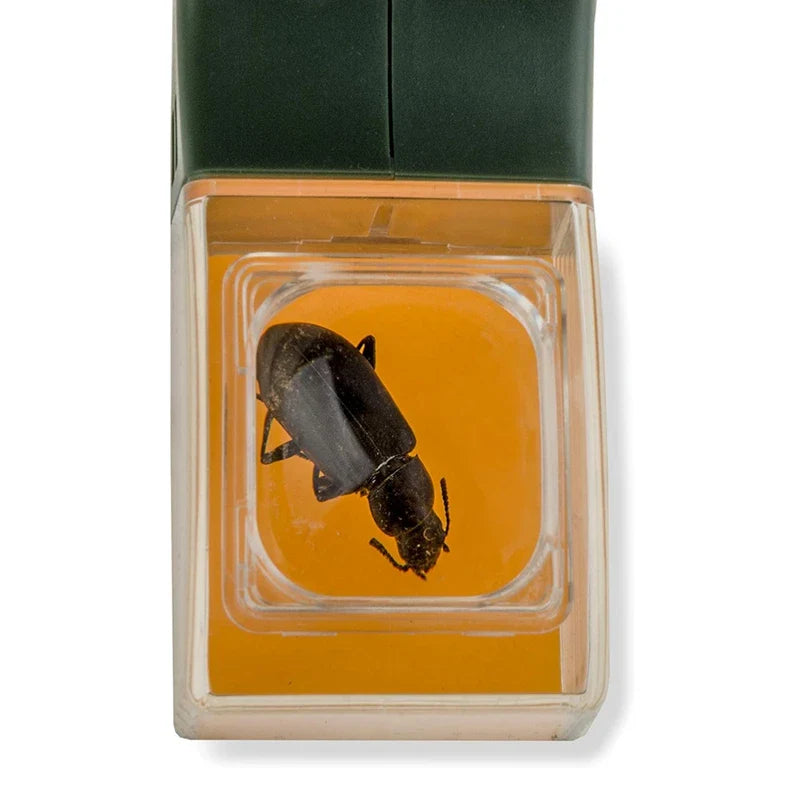 BugScope - Insect Catcher & Magnifier Tool