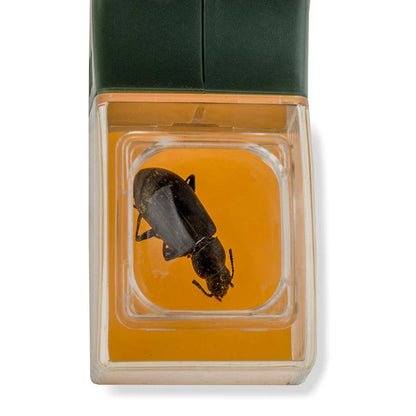 BugScope - Insect Catcher & Magnifier Tool